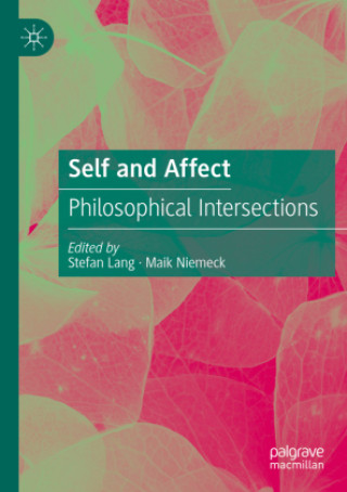 Könyv Self and Affect Stefan Lang