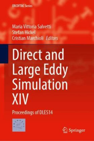 Boek Direct and Large Eddy Simulation XIV Maria Vittoria Salvetti