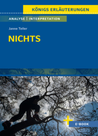 Buch Nichts von Janne Teller - Textanalyse und Interpretation Janne Teller