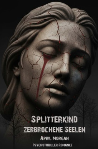 Kniha Splitterkind April Morgan