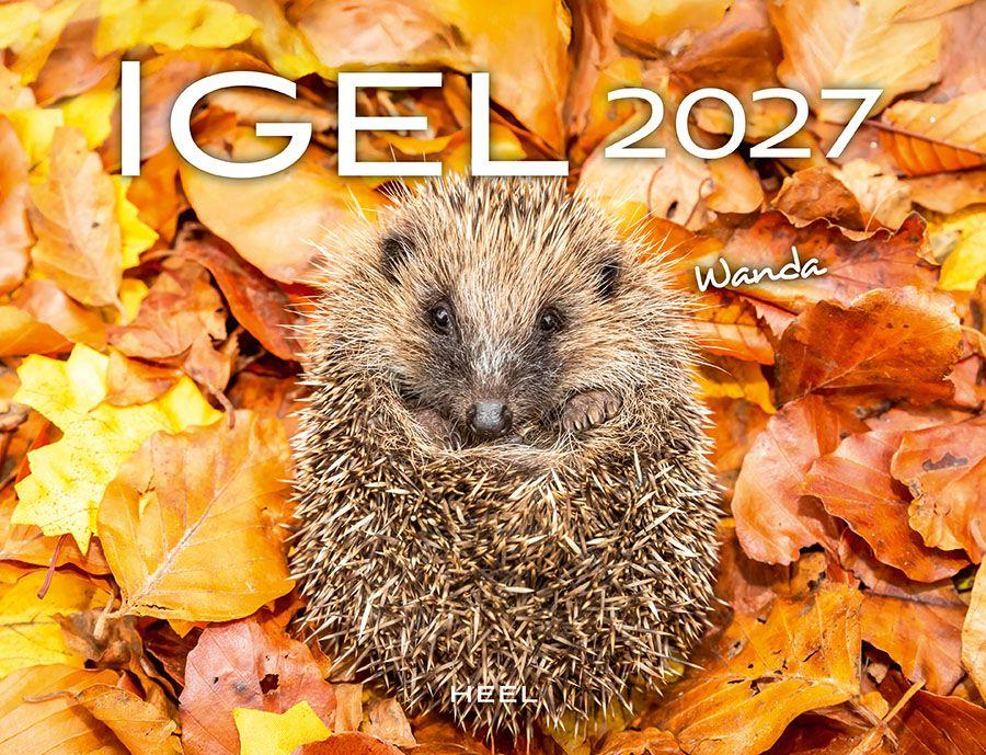 Koledar/Rokovnik Igel 2027 Eintragkalender 