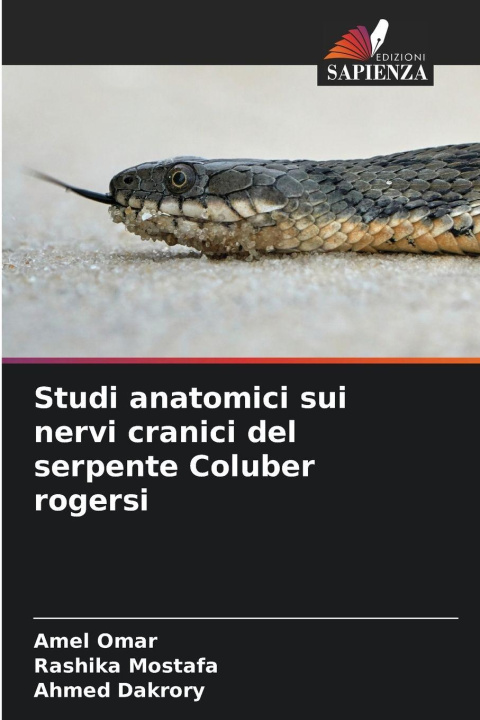 Libro Studi anatomici sui nervi cranici del serpente Coluber rogersi Amel Omar