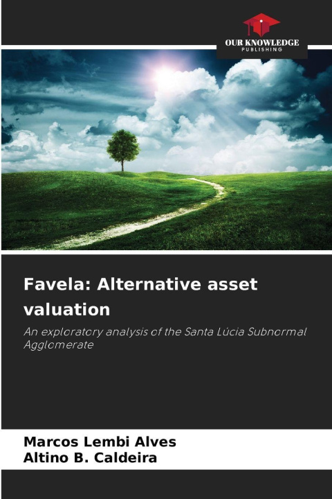 Knjiga Favela: Alternative asset valuation Marcos Lembi Alves