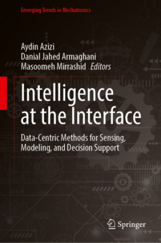 Kniha Intelligence at the Interface Aydin Azizi