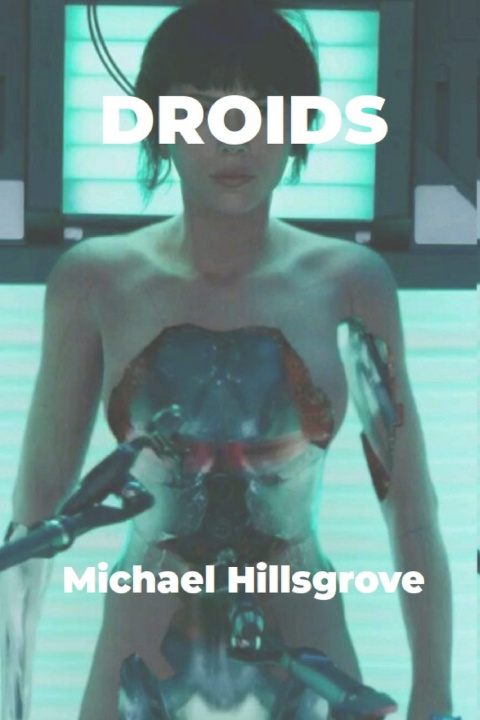 Kniha Droids Michael A Hillsgrove