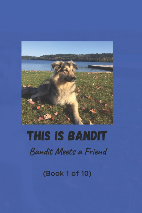Kniha This is Bandit Sarah Belanger