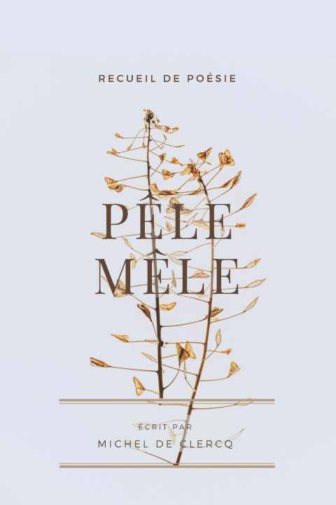 Kniha Pêle-Mêle Michel De Clercq