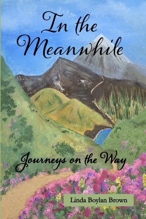 Kniha In the Meanwhile Linda Boylan Brown