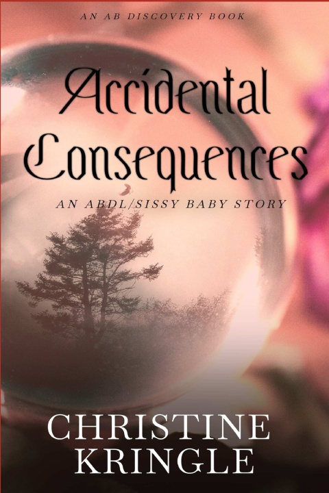 Kniha Accidental Consequences Christine Kringle