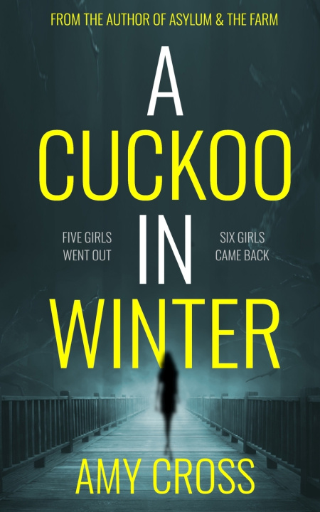 Kniha A Cuckoo in Winter Amy Cross