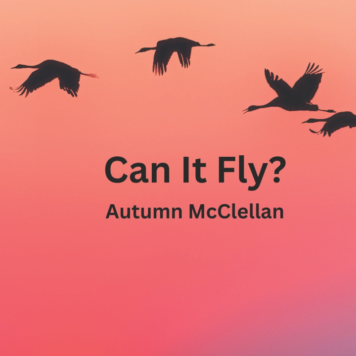 Kniha Can It Fly? Autumn McClellan