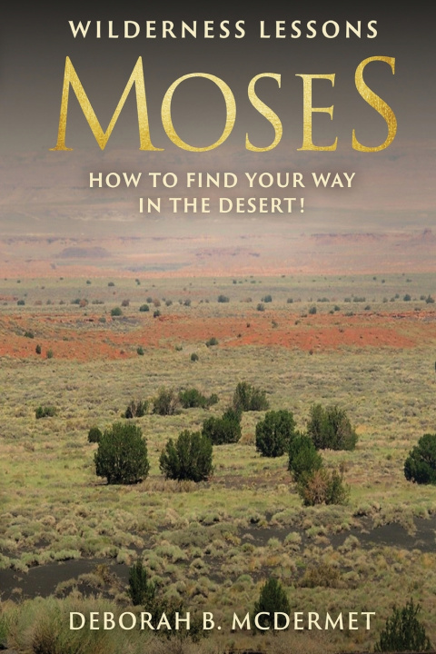 Kniha Moses Deborah B. McDermet