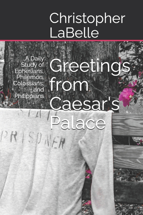 Book Greetings from Caesar's Palace Christopher LaBelle