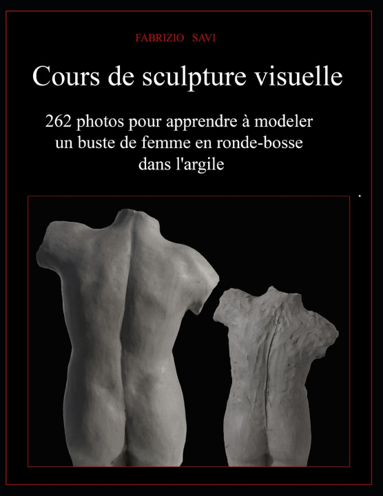 Book Cours de sculpture visuelle Fabrizio Savi