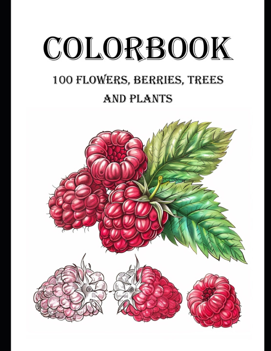 Buch Colorbook White Mulberry