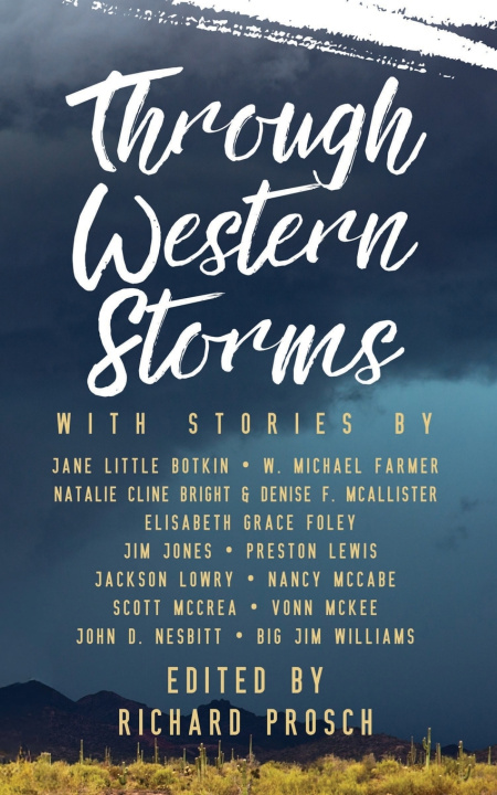 Kniha Through Western Storms Jane Little Botkin