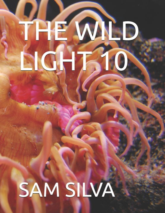 Knjiga THE WILD LIGHT 10 SAM SILVA