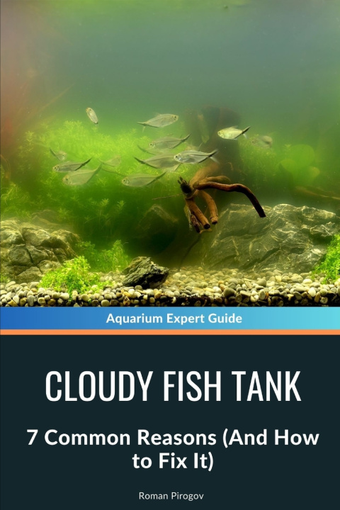 Knjiga Cloudy Fish Tank Roman Pirogov