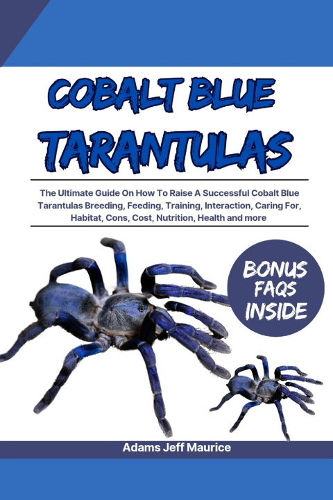 Kniha COBALT BLUE TARANTULAS Adams Jeff Maurice