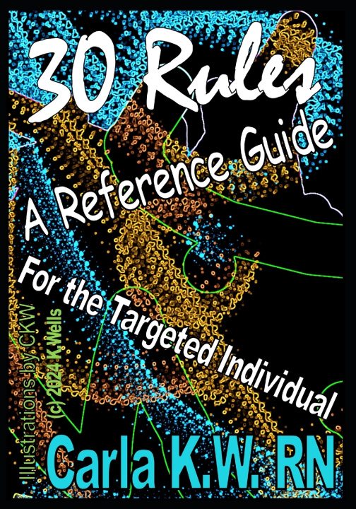 Kniha 30 Rules Kate Wells