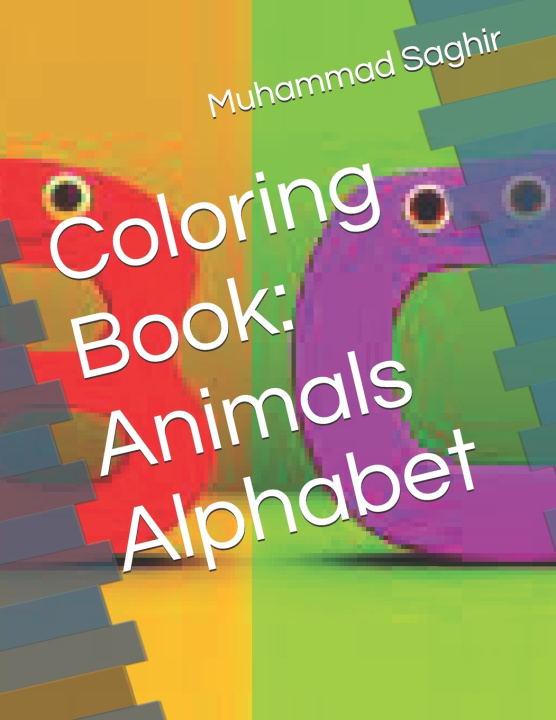 Kniha Coloring Book Muhammad Saghir