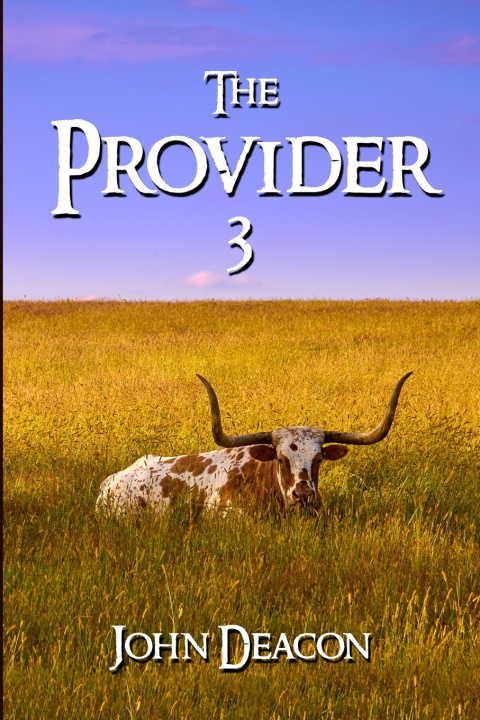 Kniha The Provider 3 John Deacon