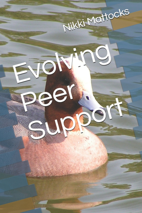 Kniha Evolving Peer Support Nikki Mattocks