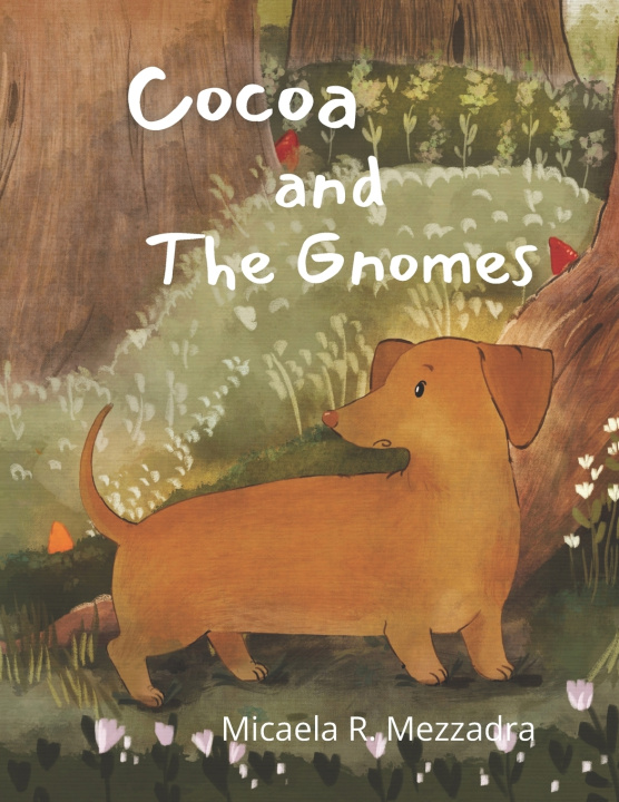 Kniha Cocoa and The Gnomes Micaela Rocio Mezzadra