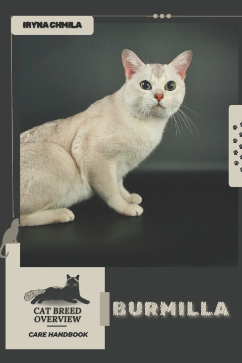Livro Burmilla Iryna Chmila