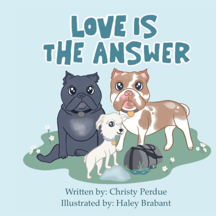 Kniha Love is the Answer Christy Perdue