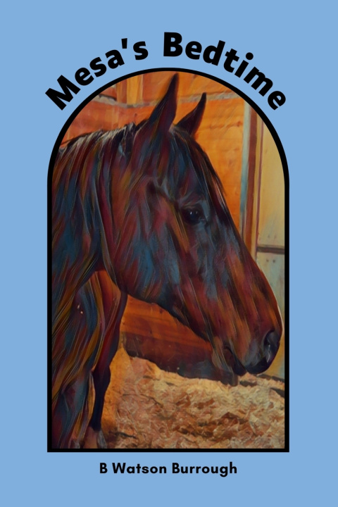 Kniha Mesa's Bedtime B Watson Burrough
