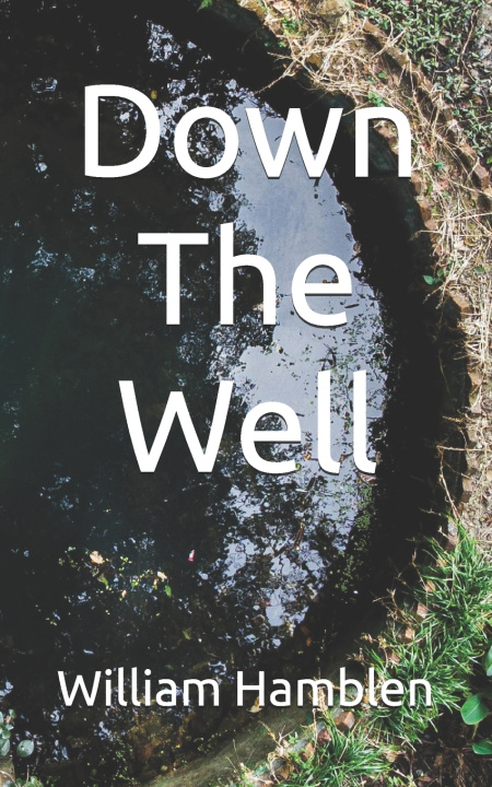 Kniha Down the Well William Hamblen
