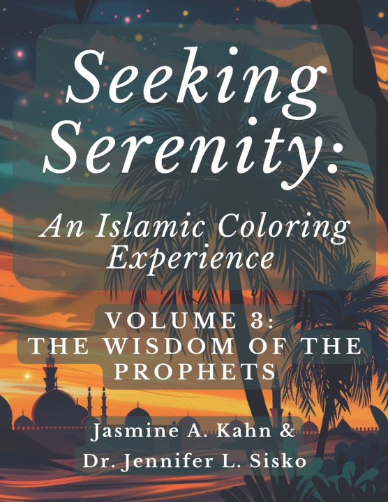 Kniha Seeking Serenity Jennifer L Sisko