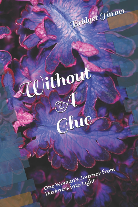 Kniha Without A Clue Bridget Ann Turner