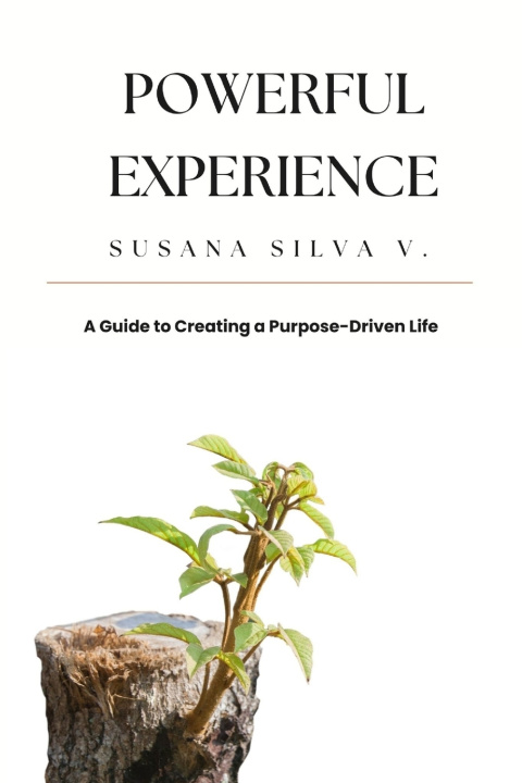 Kniha Powerful Experience Susana Silva V.