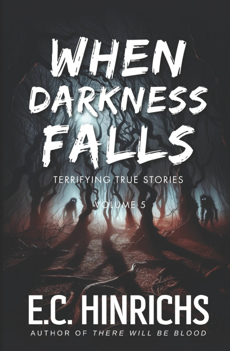 Kniha When Darkness Falls E.C. Hinrichs