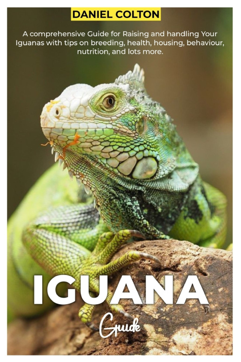 Könyv IGUANA GUIDE DANIEL COLTON