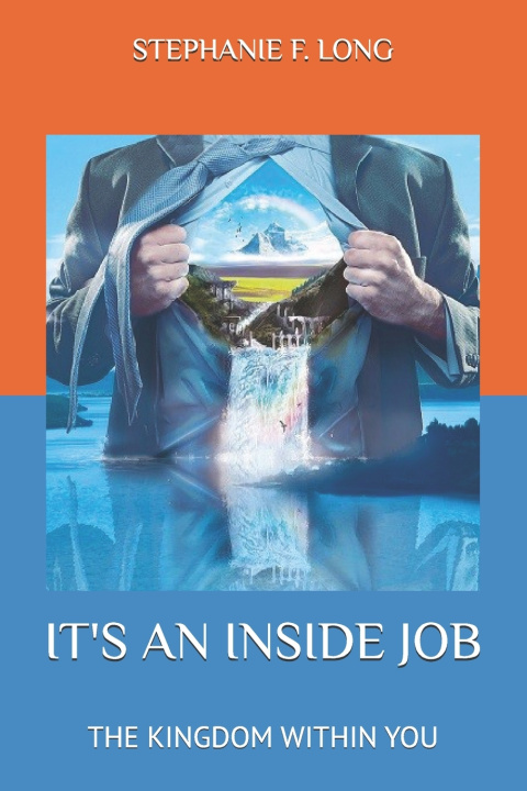Kniha IT'S AN INSIDE JOB STEPHANIE F LONG