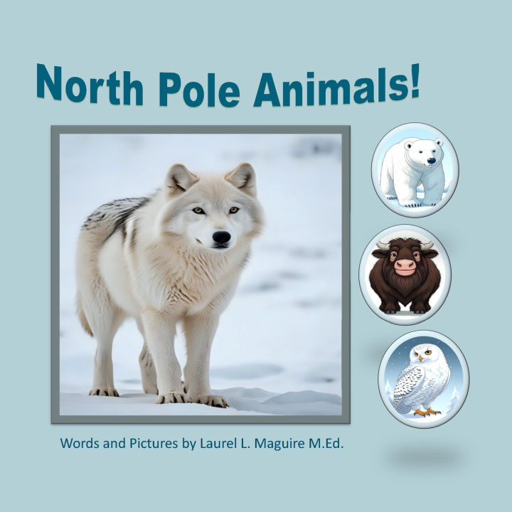 Kniha North Pole Animals! Laurel L Maguire M.Ed
