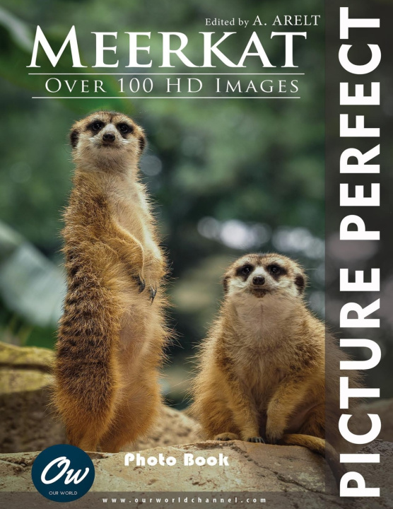 Kniha Meerkat A Arelt