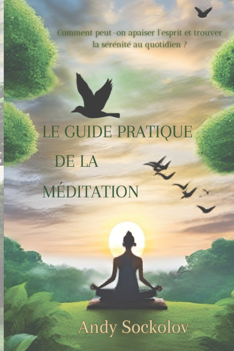 Kniha Le guide pratique de la méditation Andy Sockolov
