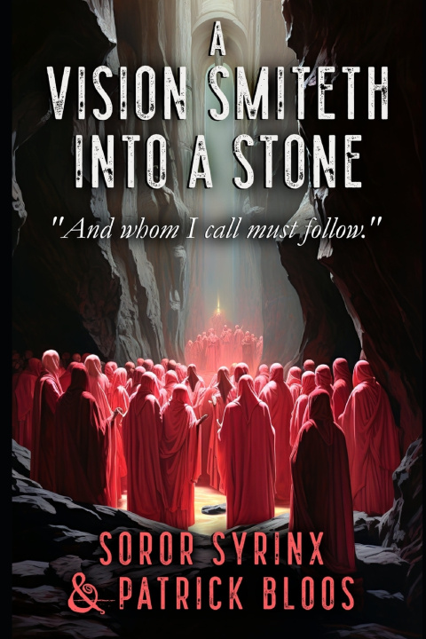 Kniha A Vision Smiteth into a Stone Patrick Bloos