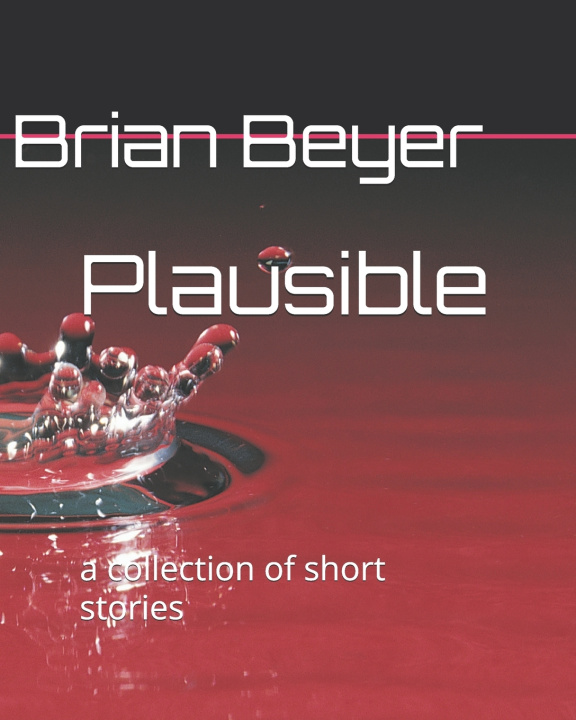 Könyv Plausible Brian Beyer