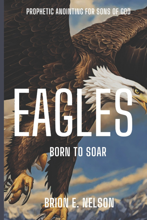 Kniha Eagles Brion E. Nelson