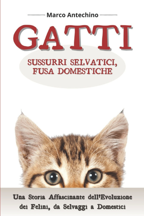 Kniha Gatti Marco Antechino
