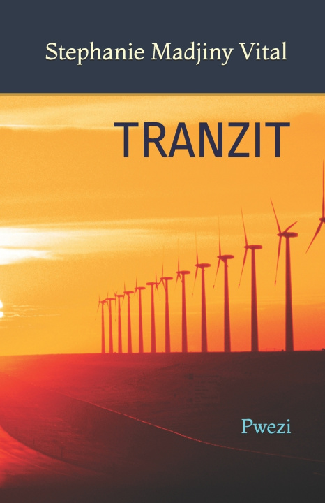 Kniha TRANZIT Stephanie Madjiny Vital