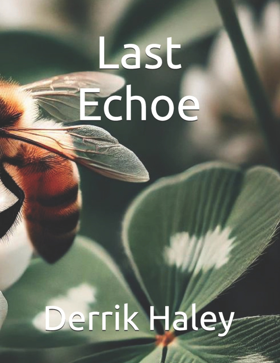 Kniha Last Echoe Derrik Haley