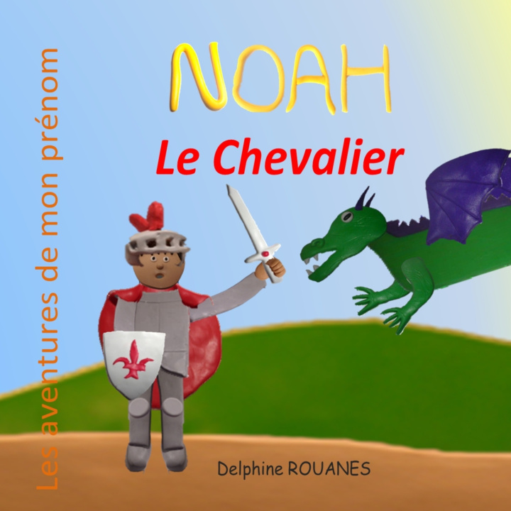 Kniha Noah le Chevalier Delphine Rouanes