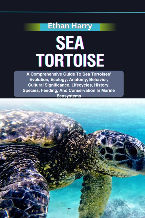 Kniha SEA TORTOISE Ethan Harry