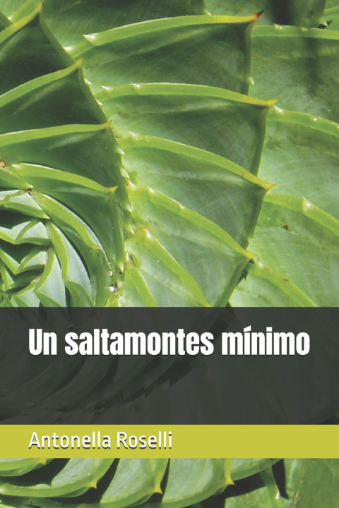 Kniha Un saltamontes mínimo Antonella Roselli